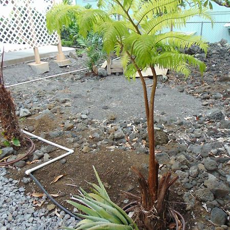 Ohana Hale Kailua-Kona Ngoại thất bức ảnh