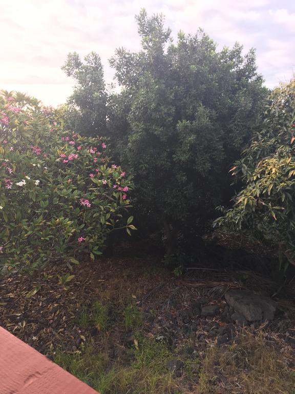 Ohana Hale Kailua-Kona Ngoại thất bức ảnh