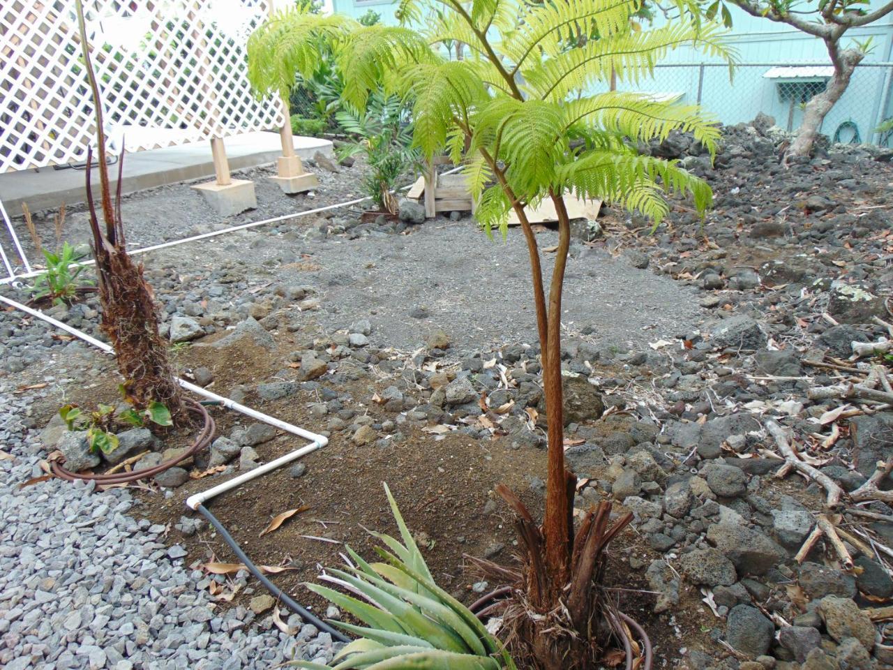 Ohana Hale Kailua-Kona Ngoại thất bức ảnh